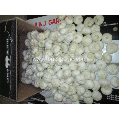 Pure White Garlic Size 5.5cm Crop 2020